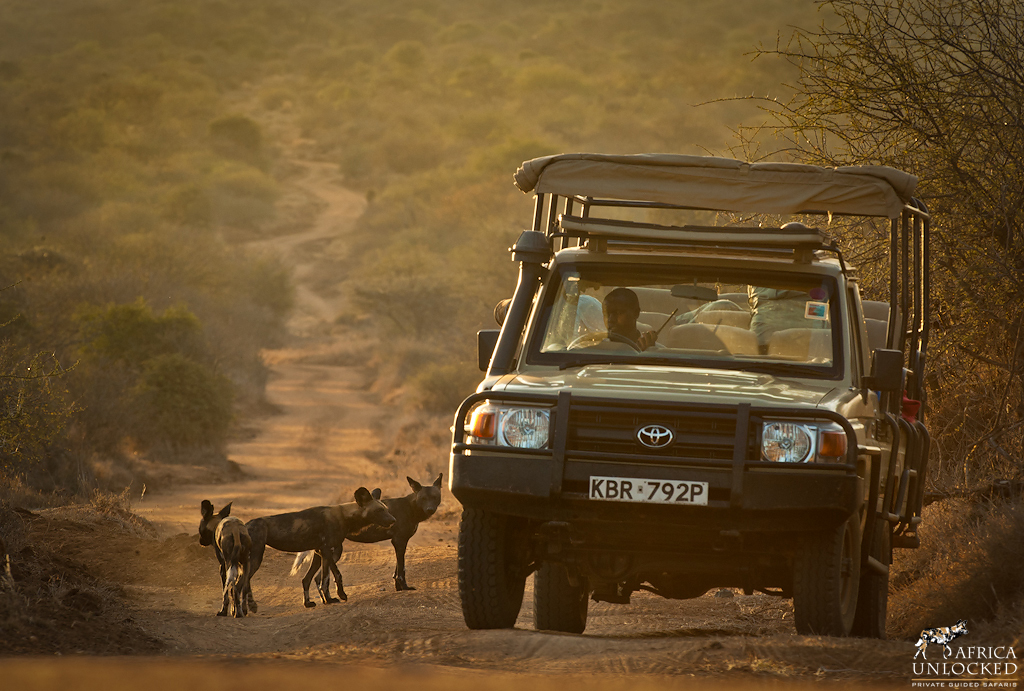 Laikipia Wilderness Camp thumbnail 2